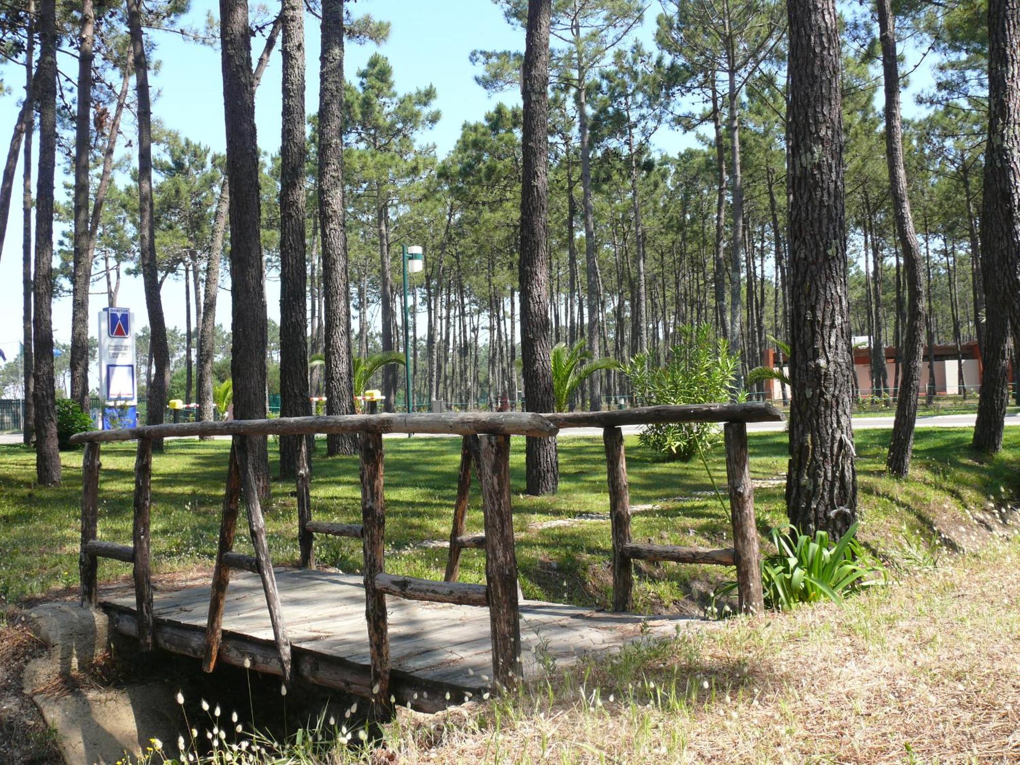 Parque De Campismo Orbitur Vagueira Ξενοδοχείο Gafanha da Boa Hora Εξωτερικό φωτογραφία